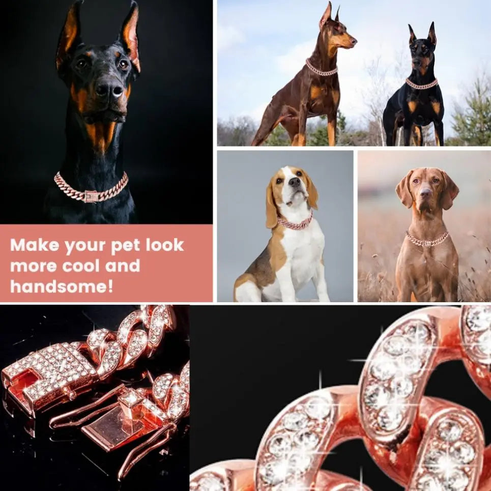 Collar con cadena para perro con diamantes de imitación y hebilla segura, 1 unidad. Accesorio de moda para mascotas pequeñas, medianas y grandes. Accesorio de estilismo para mascotas.